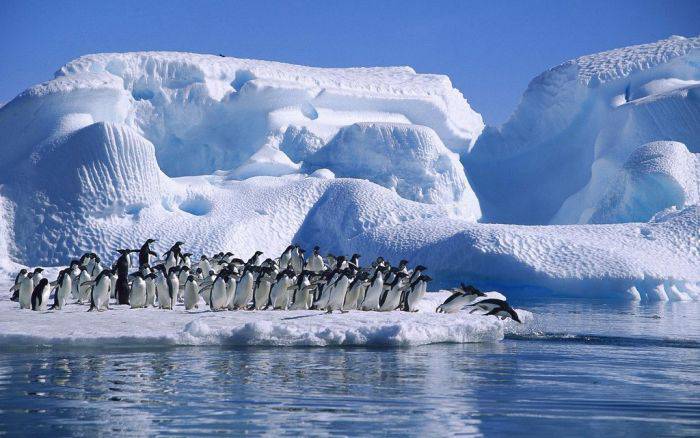 Cele mai frumoase locuri din lume   Antarctica