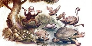 Latura infamă a lui Charles Darwin: Gătea animalele pe care le studia