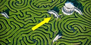 Cel mai lung labirint viu din lume   Locul ideal în care să dispari câteva ore