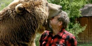 Timothy Treadwell și a dedicat viața urșilor. Până când l au mâncat...