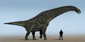 Titanozaurul   Cel mai mare animal care a existat vreodată pe Pământ